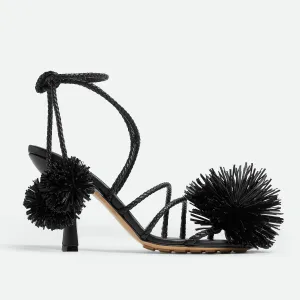 Adam Sandal