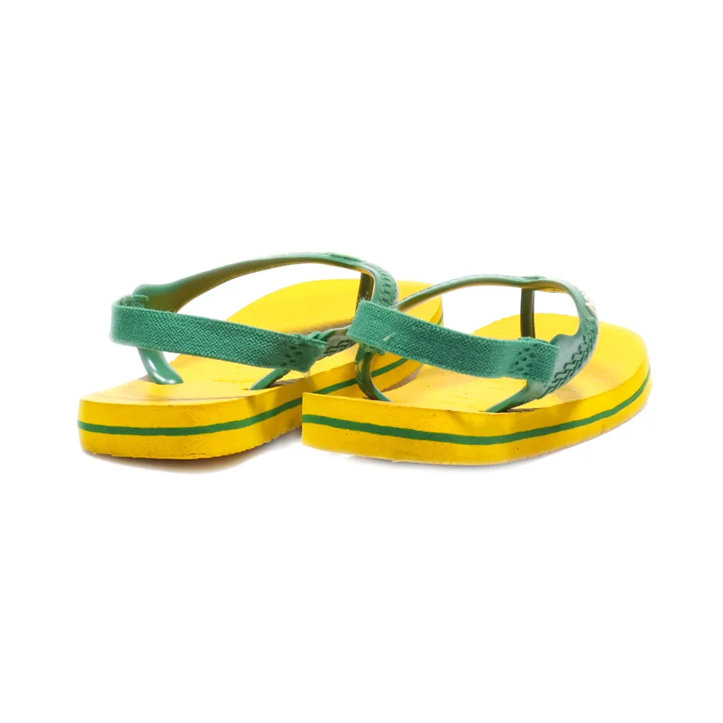 Havaianas Brasil Logo Flat Sandals Eva Green Colour For Kids