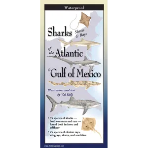 Sharks, Skates & Rays of the Atlantic and the Gulf of Mexico - Folding Guide