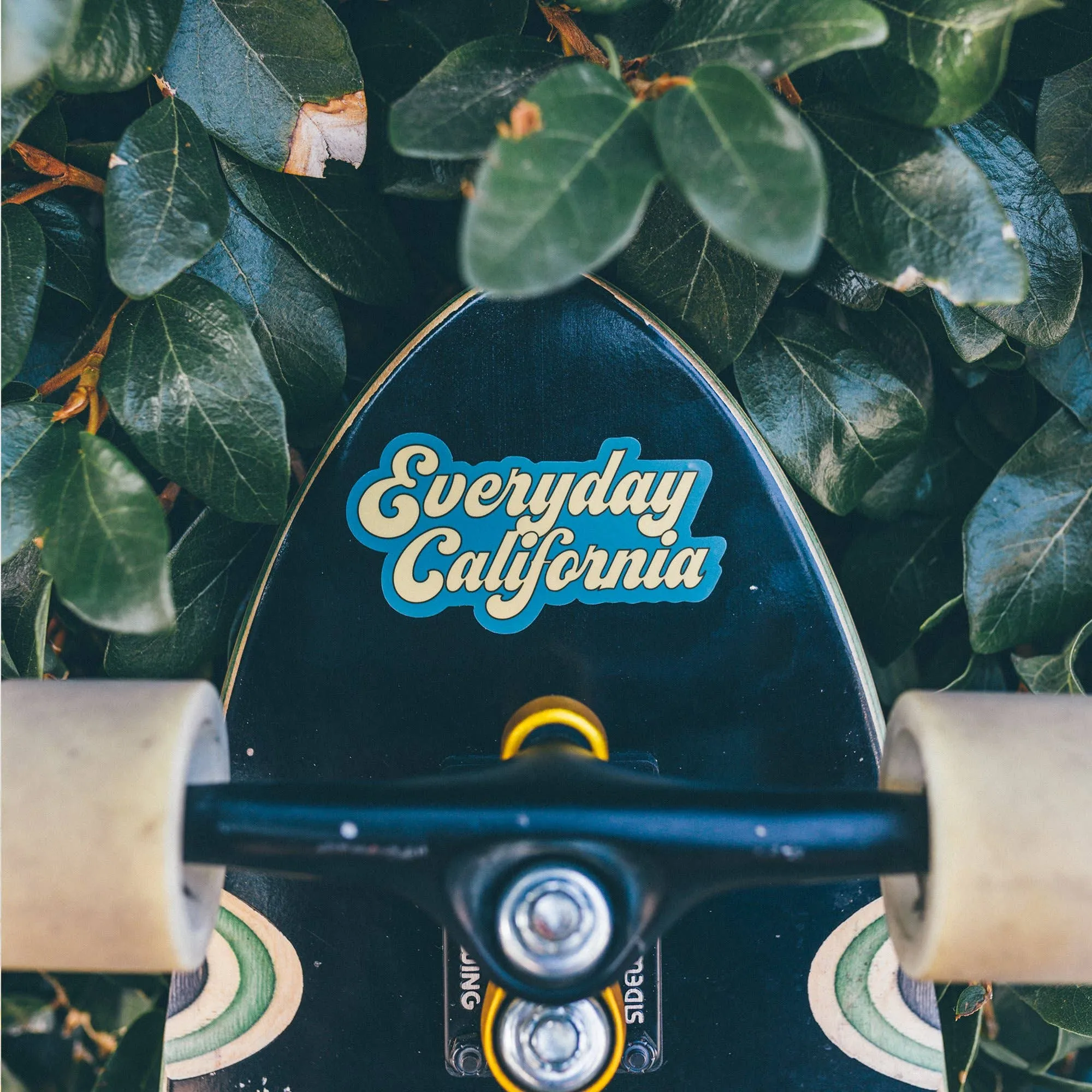 Vintage '79 Sticker Blue